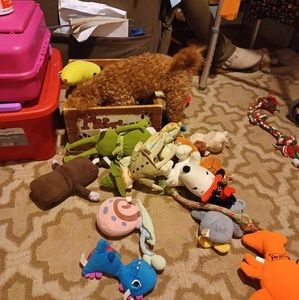 Meet your Posher, Linda